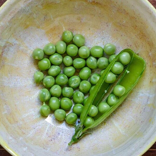 West Coast Seeds Shelling Pea Seeds